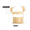 Dorso Lumbar Spinal Brace - Image 2